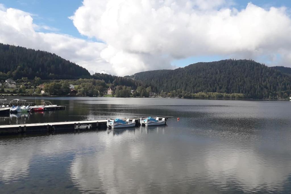 Chalet 3 Etoiles A Gerardmer. Exterior foto